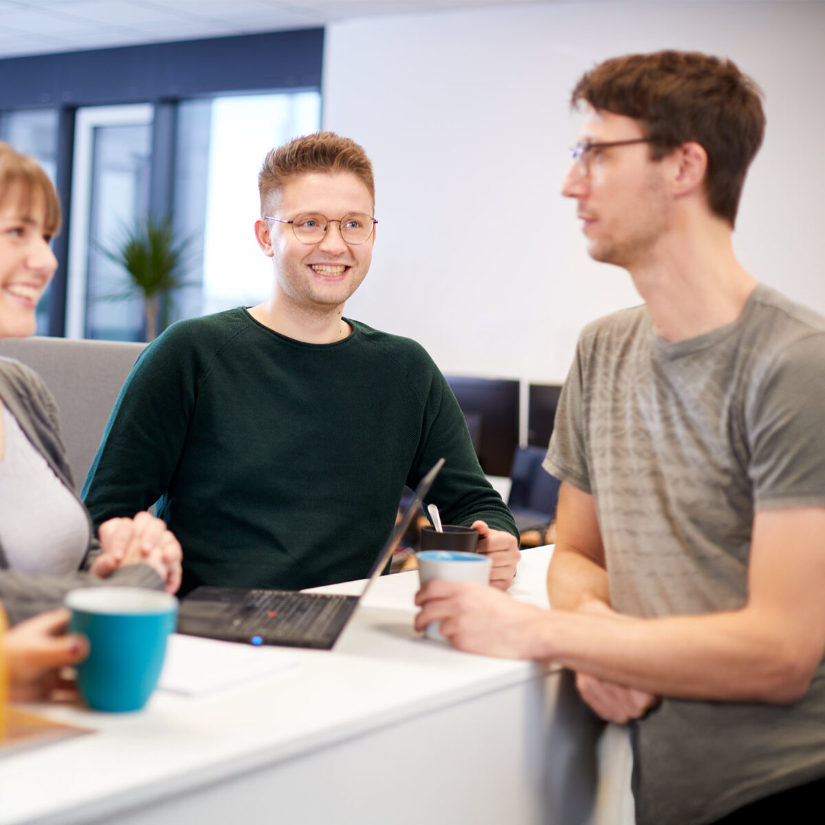 anaptis prozessoptimierung