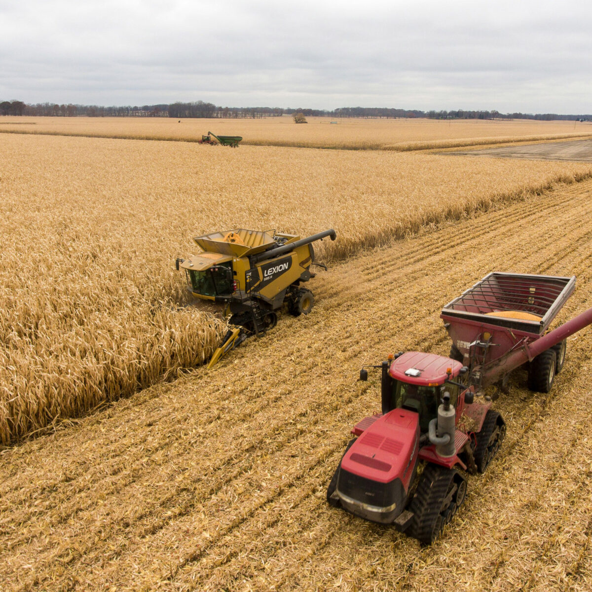 Landwirtschaft