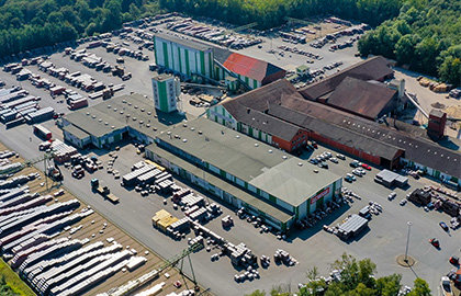 nelskamp